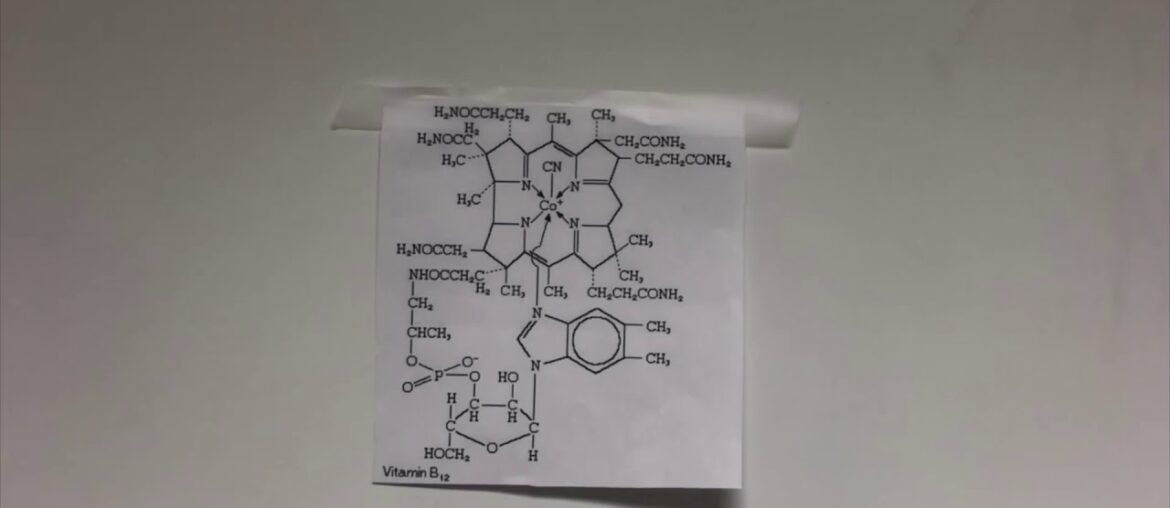 Vitamin B12 (Nutrition 101)