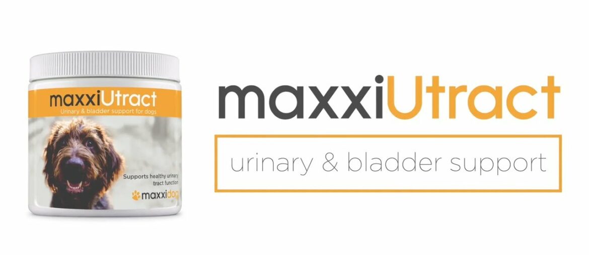 maxxiUtract urinary and bladder supplement for dogs