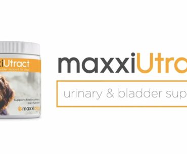 maxxiUtract urinary and bladder supplement for dogs