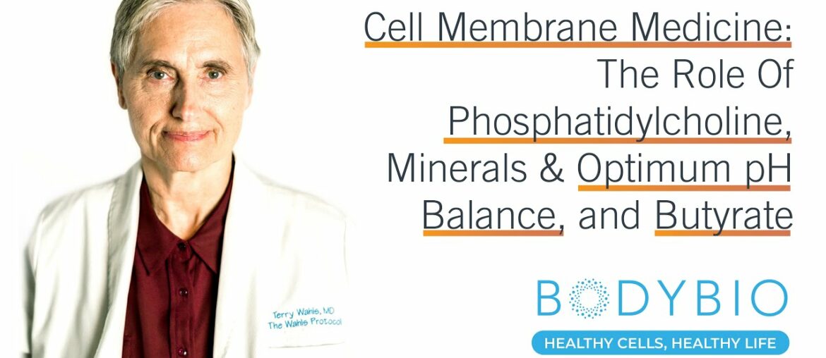 Cell Membrane Medicine: The Role Of Phosphatidylcholine, Minerals & Optimum pH Balance, and Butyrate