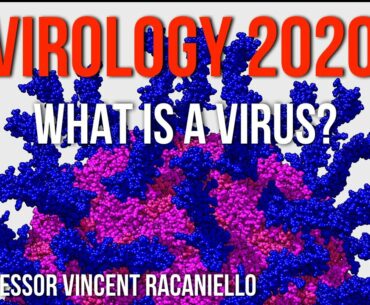 Virology Lectures 2020 #1: What is a Virus?