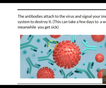 COVID-19 Vaccines and Immunity Presentation