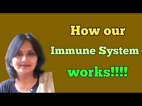 How Immunity fight against harmful Substances!!!!!!!!