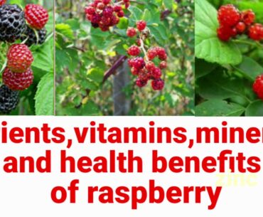 nutrients,vitamins, minerals and health benefits of raspberry