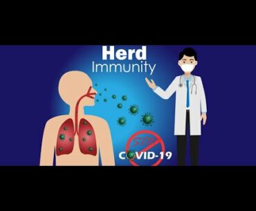 what is herd immunity ? Will it protect us from COVID-19?