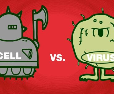 Cell vs. virus: A battle for health - Shannon Stiles