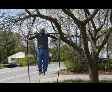 A Cherry Tree, Gymnastic Rings, Vitamin D