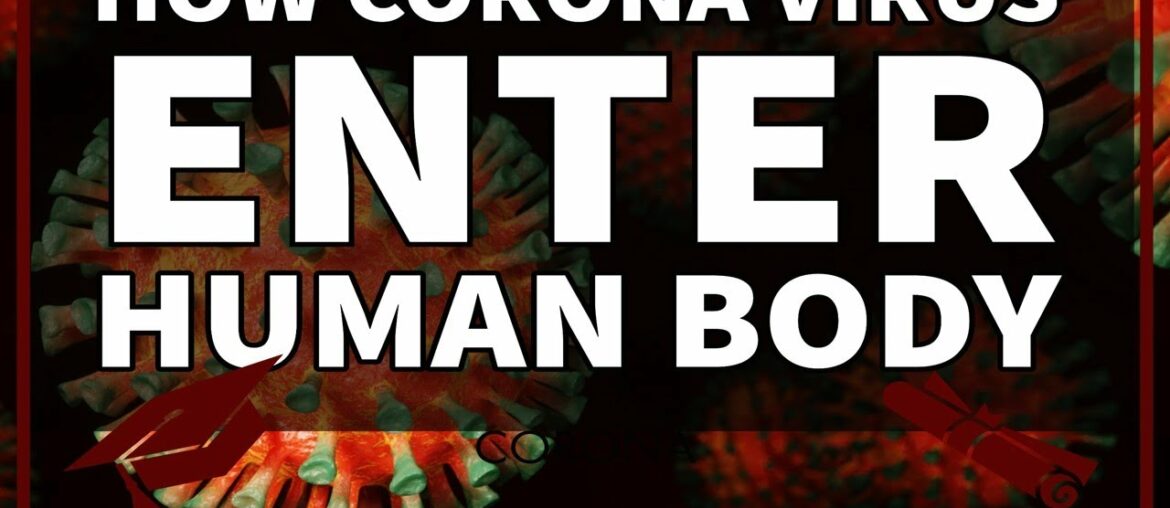 How Corona Virus  Invades Human Body - Corona Attack Ways