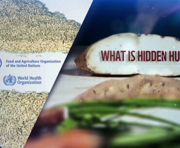 WHO-FAO: International Conference on Nutrition: Hidden hunger.