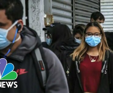 New Study Raises Hopes Of COVID-19 Survivor Immunity | NBC Nightly News