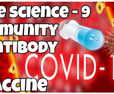 Banglar Shiksha LIFE SCIENCE  STRUCTURE & TYPES OF ANTIBODY I VACCINE,IMMUNITY,COVID 19,CORONA VIRUS