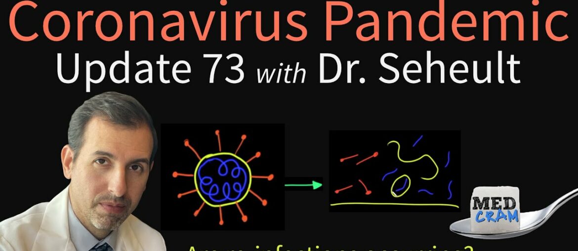 Coronavirus Pandemic Update 73: Relapse, Reinfections, & Re-Positives - The Likely Explanation