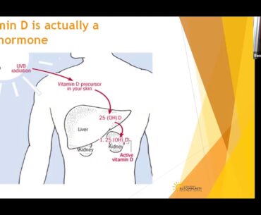 VITAMIN D - THERAPEUTIC POTENTIAL FOR AUTOIMMUNE DISORDERS