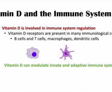 Drink Your Milk!  More Vitamin D, Lower Risk of COVID-19 !  healthy vitamin D level might prevent.