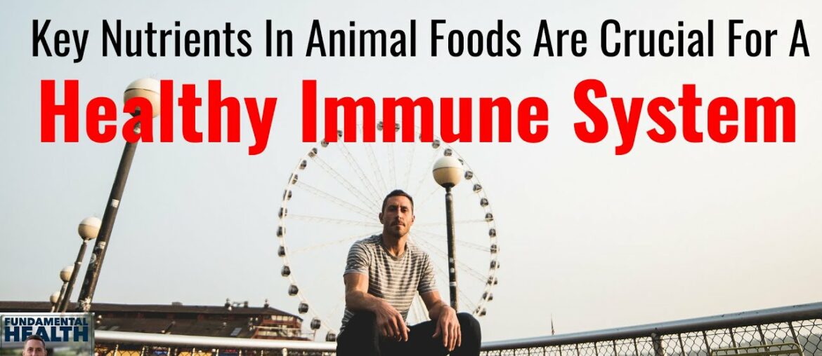 Key Nutrients in Animal Foods are Crucial for a Healthy Immune System