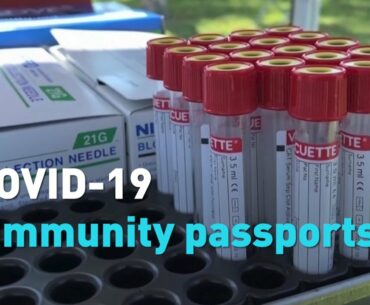 What are COVID-19 "immunity passports?"