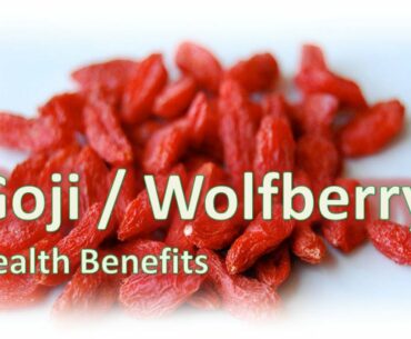 Goji Berries Health Benefits