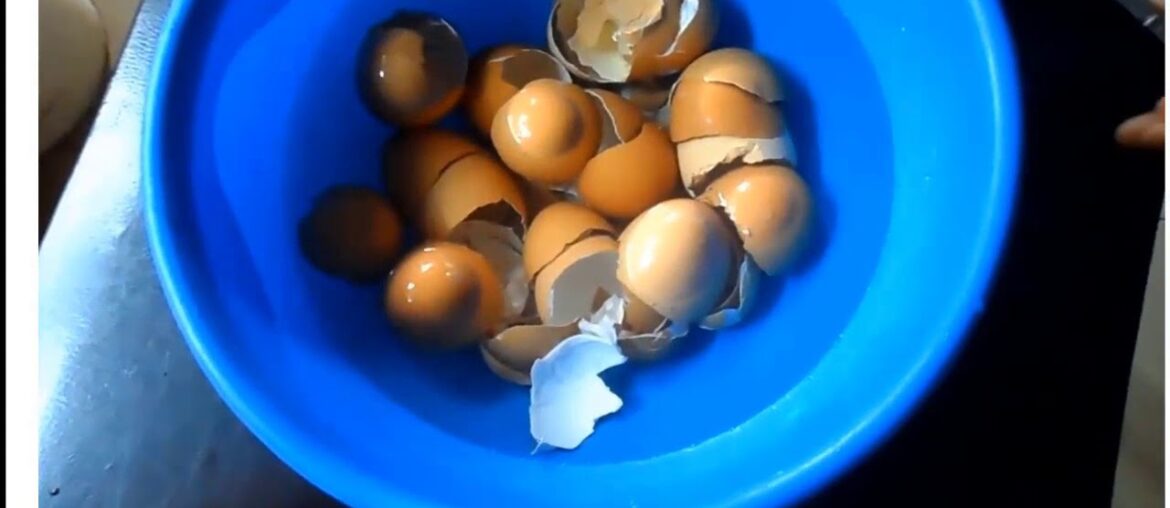 How To Produce High Nutrient Calcium Supplement From Egg Shell