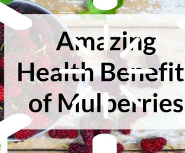 Amazing Health Benefits of Mulberries || Berry Basket