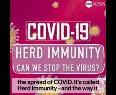 How herd immunity may protect us from COVID-19