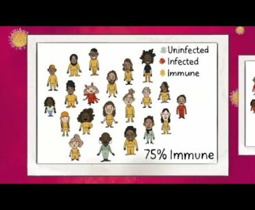 How herd immunity may protect us from COVID-19 | ABC7