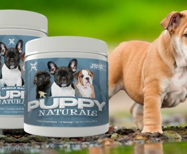 Muscle Bully Puppy Naturals Multi-Vitamin Chews and Immunity Supplement for Puppies.