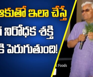 Leaf That Increase Immunity Power || Dr Khader Vali || SumanTV Organic Foods