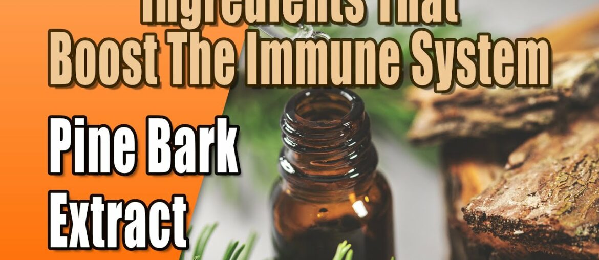 Ingredients That Boost The Immune System - Pine Bark