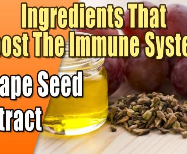 Foods That Boost The Immune System - Grape Seed Extract