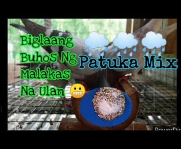 Patuka Mix Naten / Breeder Mix / Multi Vitamins Powder..