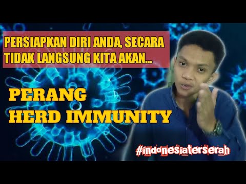 REDAM COVID-19 DENGAN HERD IMMUNITY,  MUNGKINKAH INI YANG SEDANG TERJADI...?