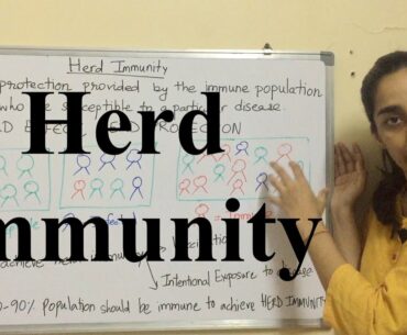 Herd Immunity | Herd Immunity for Covid-19 is the solution? |  Science Land