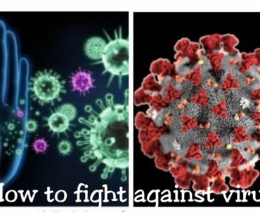 Corona Virus/COVID 19/Boost ur immunity/How to protect urself against virus/Stay safe don't panic