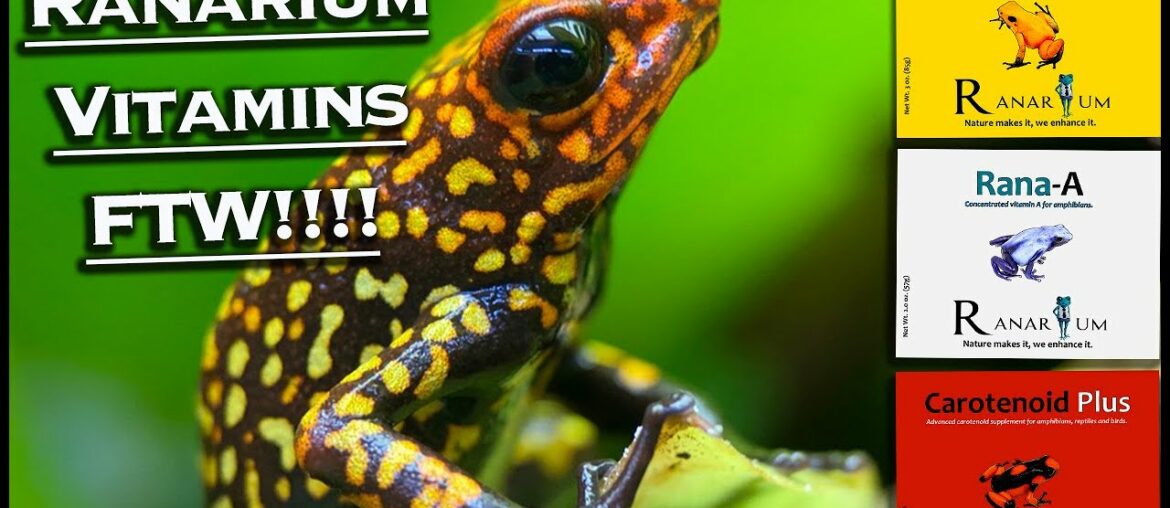 Importance Of Supplements for POISON DART FROGS.  RANARIUM VITAMINS FTW!!!!!