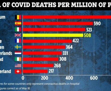 Sweden's coronavirus 'herd immunity' gamble backfires as study shows only one in 14 people in Stockh