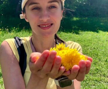 DIY:How to make Dandelion Syrup and Honey