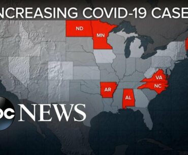 CDC updates website on COVID-19 and surfaces