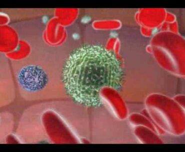 Immune System - Natural Killer Cell