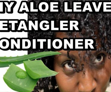 DIY Aloe Vera Leave In Conditioner and Detangler + 2 Quick MOISTURIZED Natural Hair Styles