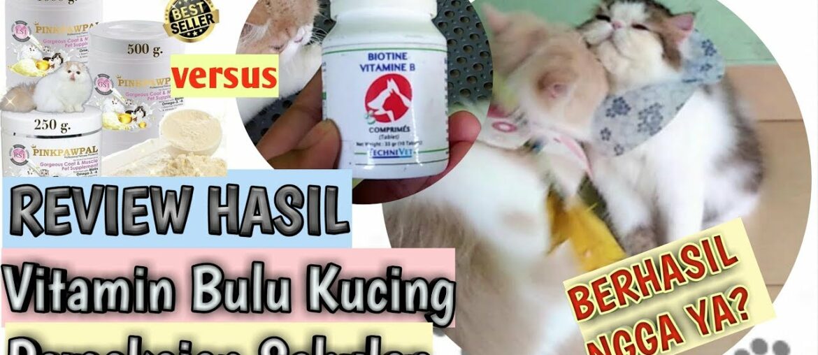 Review Hasil Pemakaian Vitamin Bulu Kucing dan Suplemen Makan  Biotine dan Pinkpawpal