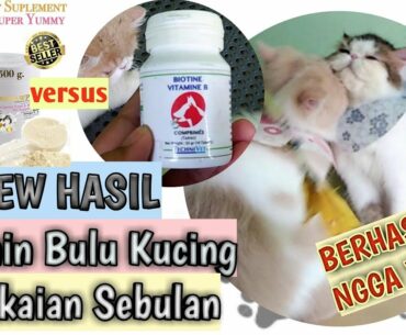 Review Hasil Pemakaian Vitamin Bulu Kucing dan Suplemen Makan  Biotine dan Pinkpawpal