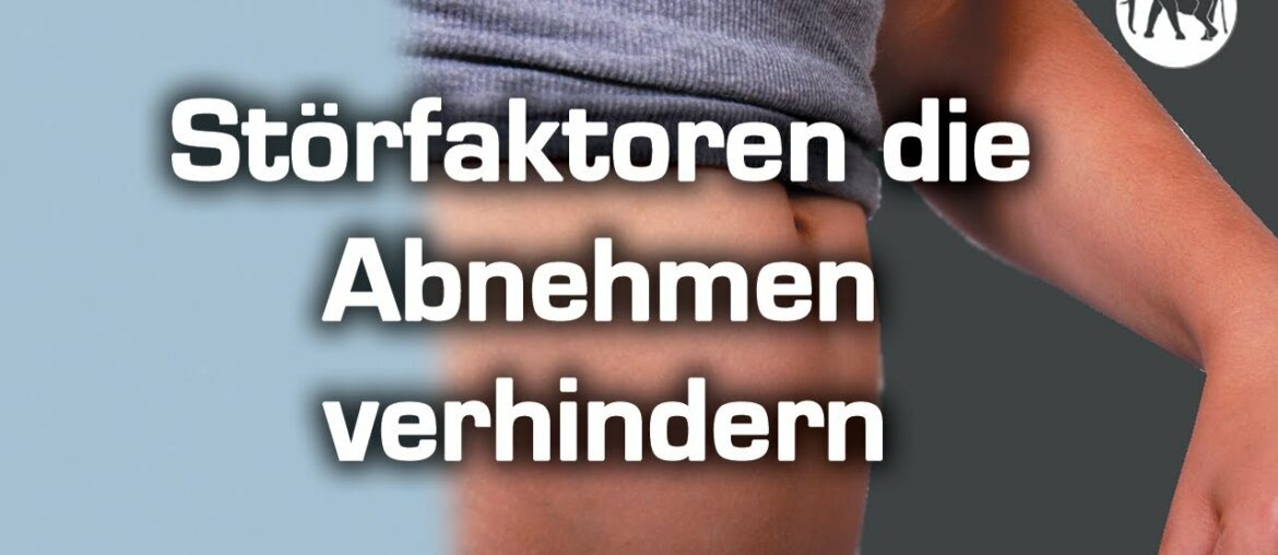 erfolgreich abnehmen| Tipps wie du schnell abnimmst