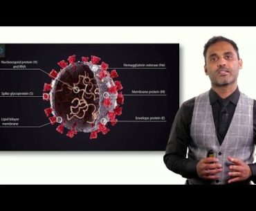 Neuropsychiatric Manifestations of COVID 19 - SARS-CoV-2 and the Brain