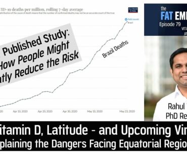 Ep79 New Study on Vitamin D and Latitude   Powerful Effects on Viral Dangers?