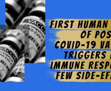 First Human Trial Of Possible COVID 19 Vaccine Triggers Rapid Immune Response, Few Side Effects