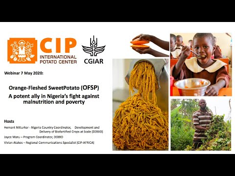 Orange-fleshed sweetpotato; a potential ally in Nigeria's fight against malnutrition and poverty