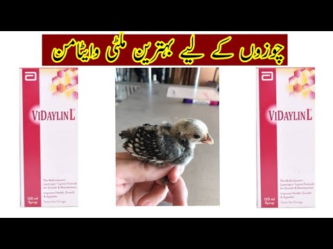 VIDAYLINM Benifits & use in chicken chicks [Best Multi vitamin for Birds]