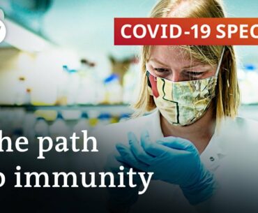 Coronavirus immunity: Did Sweden's model fail? | COVID-19 Special