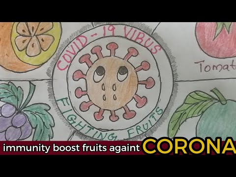 Fruits Boost your immunity against the CORONA/covid - 19  Fighting fruits drawing @fresh every day