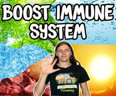 Top 5 Ways To Boost The Immune System - Wim Hof, Carnivore, Vitamin D, Running, Fasting, Water